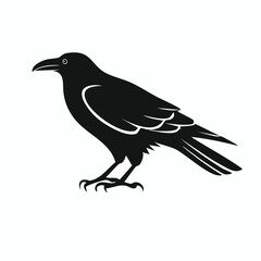 raven bird black silhouette vector, Simple silhouette Design vector icon with white background. Wild bird
