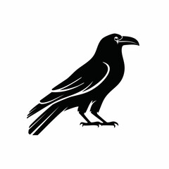 raven bird black silhouette vector, Simple silhouette Design vector icon with white background. Wild bird