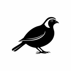 quail bird black silhouette vector, Simple silhouette Design vector icon with white background. Wild bird