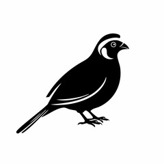 Fototapeta premium quail bird black silhouette vector, Simple silhouette Design vector icon with white background. Wild bird