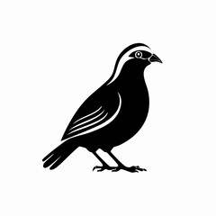 quail bird black silhouette vector, Simple silhouette Design vector icon with white background. Wild bird