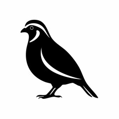 quail bird black silhouette vector, Simple silhouette Design vector icon with white background. Wild bird