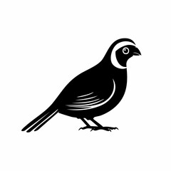 quail bird black silhouette vector, Simple silhouette Design vector icon with white background. Wild bird