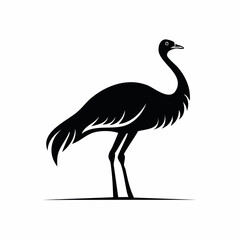 Obraz premium ostrich bird black silhouette vector, Simple silhouette Design vector icon with white background. Wild bird
