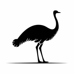 ostrich bird black silhouette vector, Simple silhouette Design vector icon with white background. Wild bird