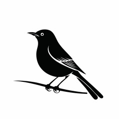 nightingale bird black silhouette vector, Simple silhouette Design vector icon with white background. Wild bird