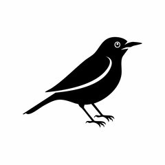 nightingale bird black silhouette vector, Simple silhouette Design vector icon with white background. Wild bird