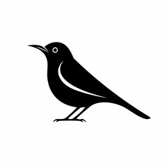 nightingale bird black silhouette vector, Simple silhouette Design vector icon with white background. Wild bird