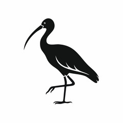 Obraz premium ibis bird black silhouette vector, Simple silhouette Design vector icon with white background. Wild bird