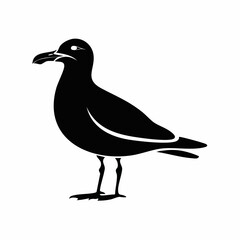 gull bird black silhouette vector, Simple silhouette Design vector icon with white background. Wild bird