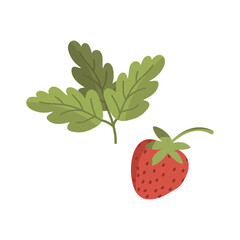 Strawberry set flat vector illustration isolated on white background. Cute red strawberries with leaves. Juicy summer berries. Vegetable, red fruit. Healthy eating, fiber. Hand drawn simple strawberry