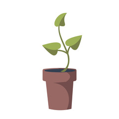 Seedlings in pot with soil for planting in a peat cups vector flat cartoon illustration isolated on white background. Gardening tools. Home garden or plants care concept. Growing seedlings for harvest