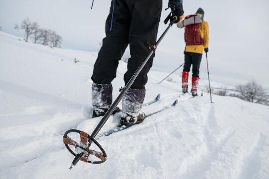 Close-up of ski pole used by skier for doing cross-country skiing on snow covered land