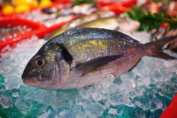 Fish displayed on ice in a market