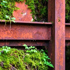 Rusted metal beams overgrown with moss
