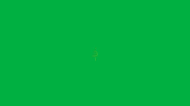 3d golden Afghanistan Afghani AFN currency symbol appearing animation isolated on green background