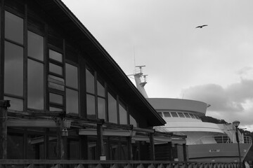 Obraz premium 屋根の上を飛ぶ鳥