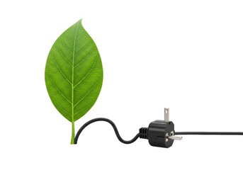 Isolated Green Energy Concept with Plug Connecting to Fresh Leaf Showing Clean Power Source