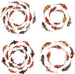 Koi Fish Circles Harmonious Swirls in Pond Art