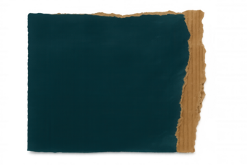 Torn cardboard edge revealing teal surface, creating layered texture against transparent backdrop