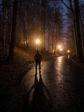 Lonely person walking on illuminated road at night