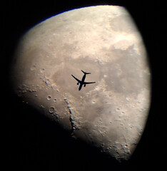 Luna © Steve Fossiant