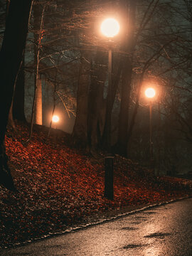 Empty illuminated street at night