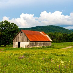 Obraz premium Rustic barn in a meadow (1)