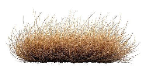 Dried Tumbleweed. Symbol Of Desert, Arid Landscapes, And Nature'S Resilience Isolated On Transparent Background