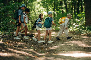 Fototapeta premium Side view, going together. Group of children in the forest on a hike