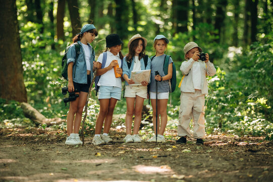 Camera and paper map in hands. Group of children in the forest on a hike