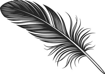 Obraz premium Detailed black and white feather illustration, artistic bird feather drawing, vintage style feather design, nature-inspired, elegant, light