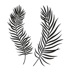 Obraz premium set with palm leaf silhouette