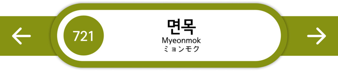 Illustration of Korean subway station names written in Korean, English and Japanese