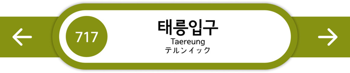 Fototapeta premium Illustration of Korean subway station names written in Korean, English and Japanese