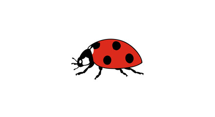 A simple charming illustration of a red ladybug with black spots on a clean white background