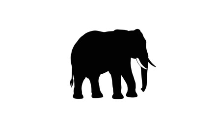 A striking black silhouette of a majestic elephant standing tall against a clean white background © rabbivay