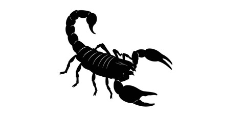 Detailed black silhouette of a scorpion with raised tail and claws against a white background