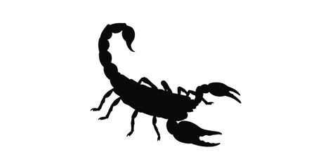 A stark black silhouette of a scorpion with its tail curved upwards and claws extended against a clean white background