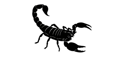 Detailed black silhouette of a scorpion with raised tail and claws against a clean white background
