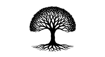 Obraz premium Stylized silhouette of a majestic tree with intricate branches and visible roots on a white background
