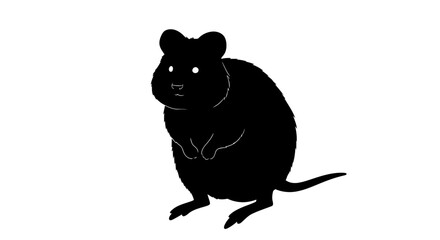 A charming silhouette of a smiling quokka standing upright on a white background showcasing its unique appearance
