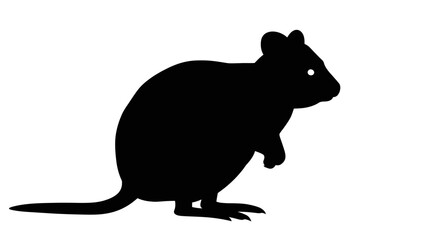 A striking black silhouette of a quokka standing on its hind legs against a clean white background