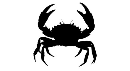 Silhouette of a crab with raised claws against a stark white background emphasizing its form