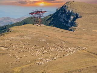 Sheep and shepherd on the Bucegi mountains plateau, Romania at 2,216 metres