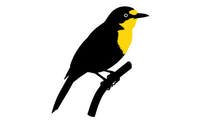 A striking black bird with a bright yellow chest and blue eye perched on a dark branch