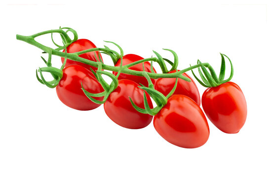 Datterini sicilian cherry tomatoes on a branch, isolated on transparent background