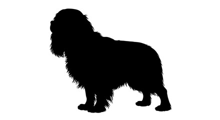 Silhouette of a long haired dog standing with its head turned to the side against a white background