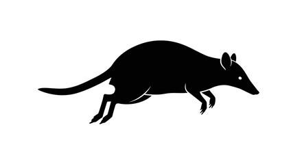 Silhouette of a hopping bilby a marsupial native to australia depicted in a simple black and white graphic