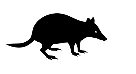 Simple black silhouette of a bilby standing on a white background with its head turned to the right